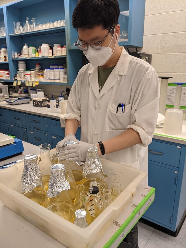 scientist working in lab