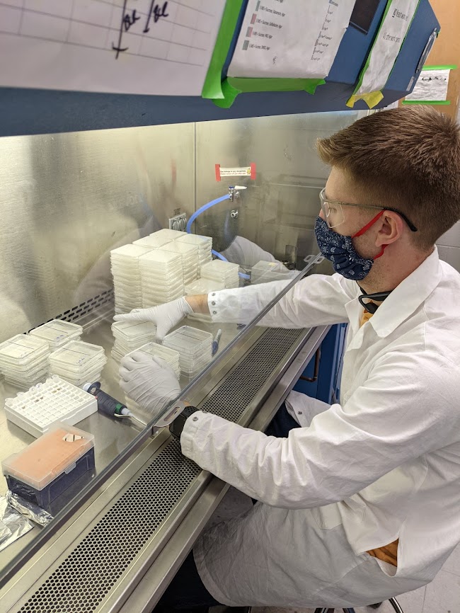 male scientist working with plates in a lab coat